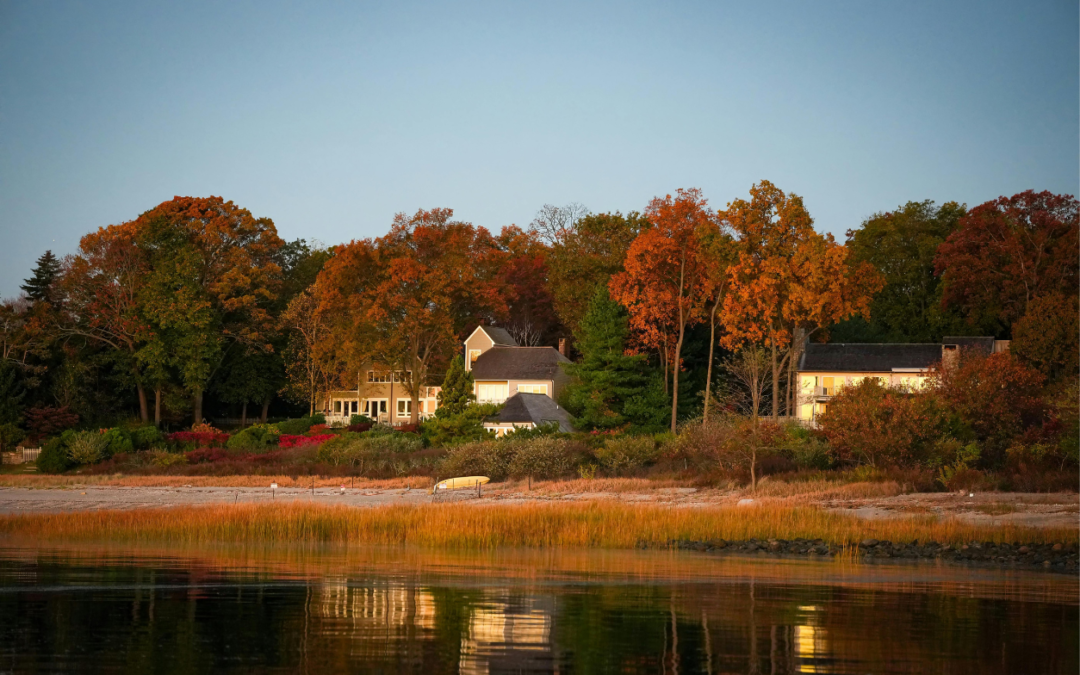 Houses on a pond